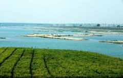 青岛“省控河”水质改善 113处排污口已被封堵
